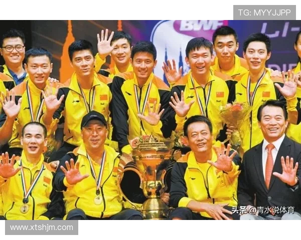 南京羽毛球队在奥运会上的比赛经验与表现分析